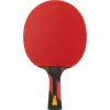 Ракетка для н/т DOUBLE FISH 7A+C, для професс.,ITTF Appr.,накл.2,1мм,+ 2 мяча V40+мм ITTF Appr за 3&nbsp;559.80 ₽ купить в Иванове