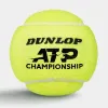 Мяч теннисный Dunlop ATP Championship 4B, 601627, уп.4ш, одобр. ITF, нат.резина,фетр. за 1&nbsp;242.70 ₽ купить в Иванове