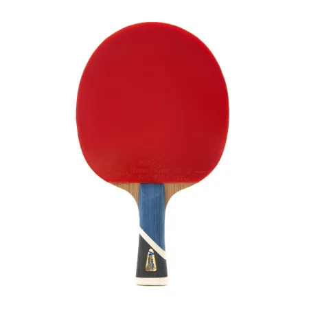 Ракетка для н/т DOUBLE FISH 5A+C, для продвин, ITTF Appr, накл. 2,1 мм, конич. ручка+ 2 мяча V40+мм за 2&nbsp;779.50 ₽ купить в Иванове