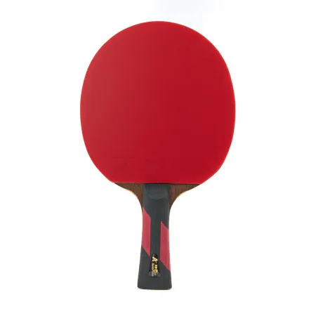 Ракетка для н/т DOUBLE FISH 7A+C, для професс.,ITTF Appr.,накл.2,1мм,+ 2 мяча V40+мм ITTF Appr за 3&nbsp;559.80 ₽ купить в Иванове