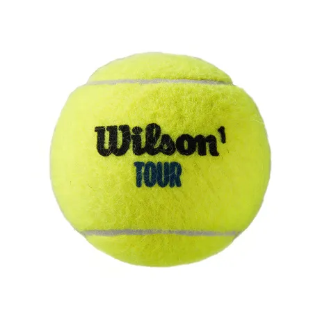 Мяч теннисный WILSON Tour Premier All Court, WRT119400, одобр.ITF, фетр, нат.резина,. уп.4 шт за 1&nbsp;676.20 ₽ купить в Иванове